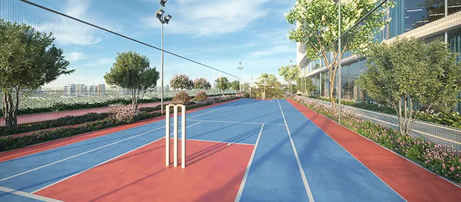 ASPIRZ Cricket-Pitch